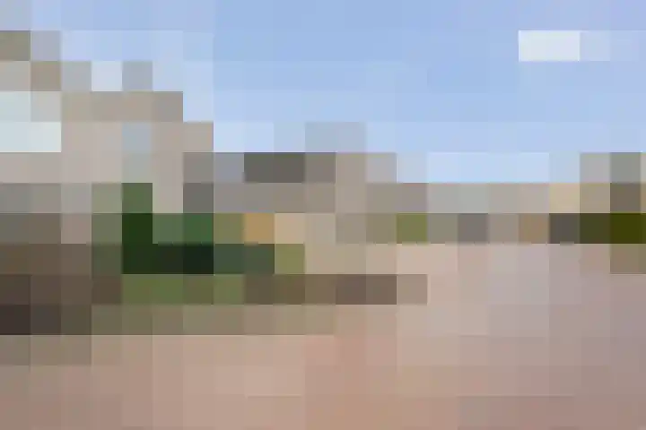 Pijlkruid 7 Nijverdal thumbnail 36