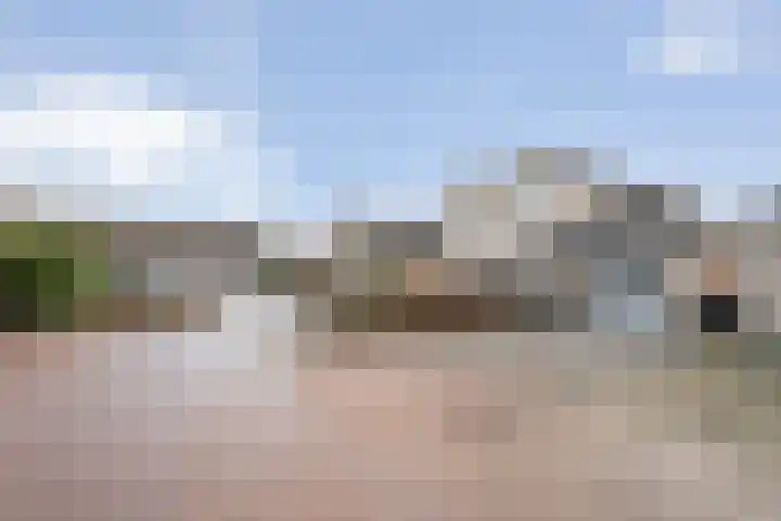 Pijlkruid 7 Nijverdal thumbnail 37