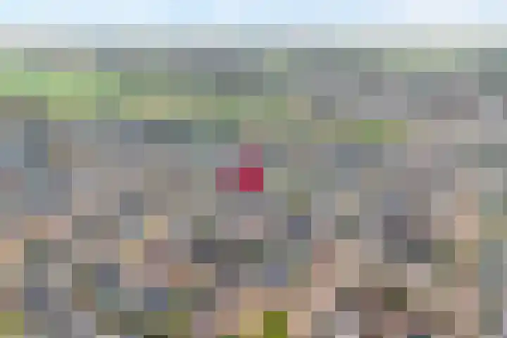 Pijlkruid 7 Nijverdal thumbnail 38