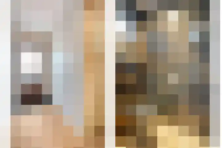 Pijlkruid 7 Nijverdal thumbnail 5
