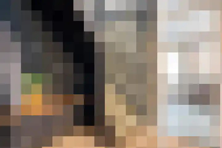 Pijlkruid 7 Nijverdal thumbnail 6