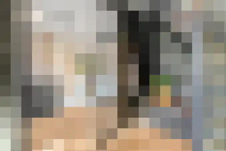 Pijlkruid 7 Nijverdal thumbnail 7