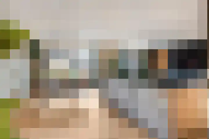 Pijlkruid 7 Nijverdal thumbnail 8