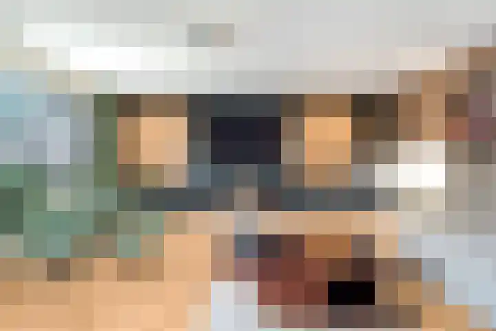 Pijlkruid 7 Nijverdal thumbnail 9