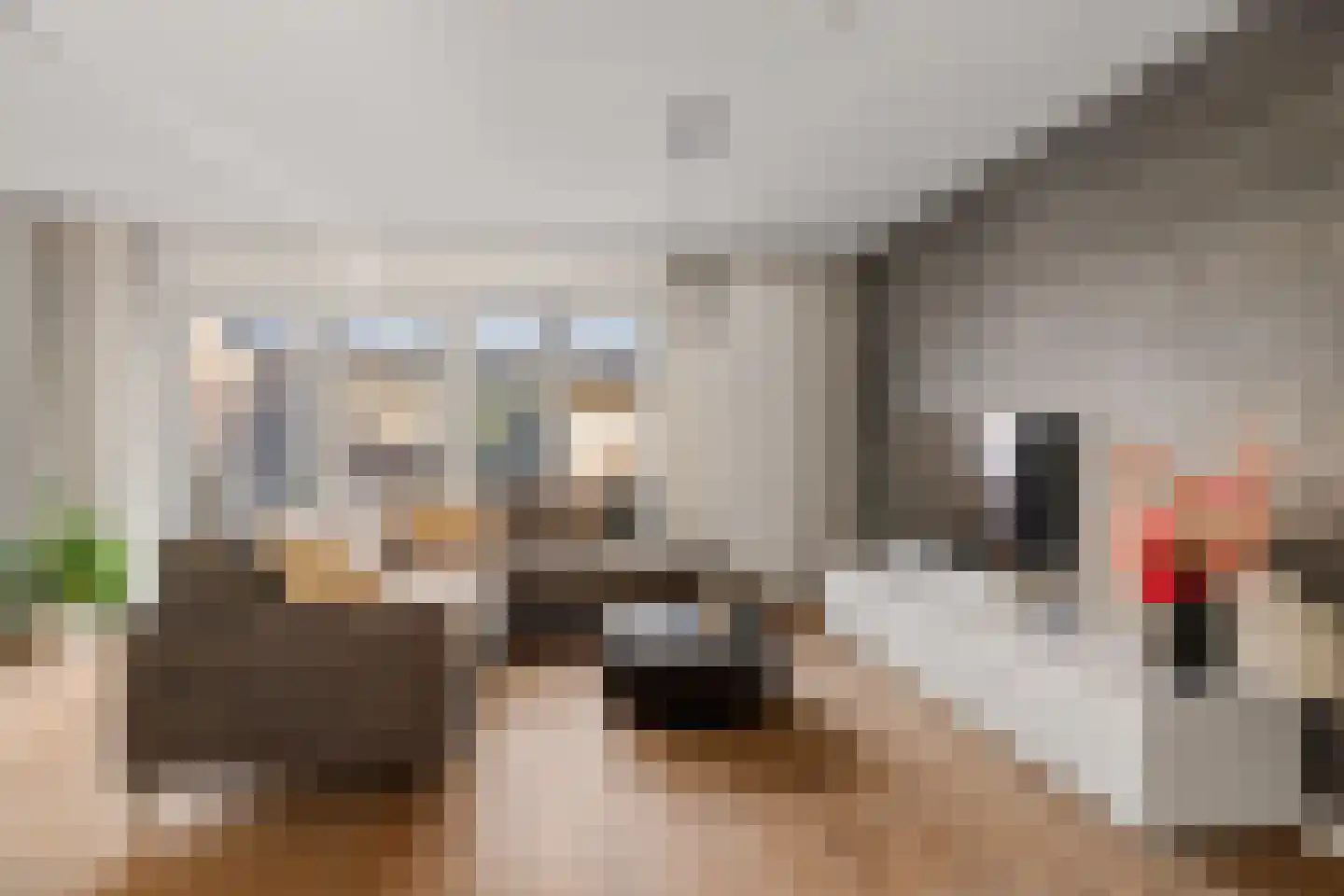 Pijlkruid 9 Amersfoort thumbnail 10