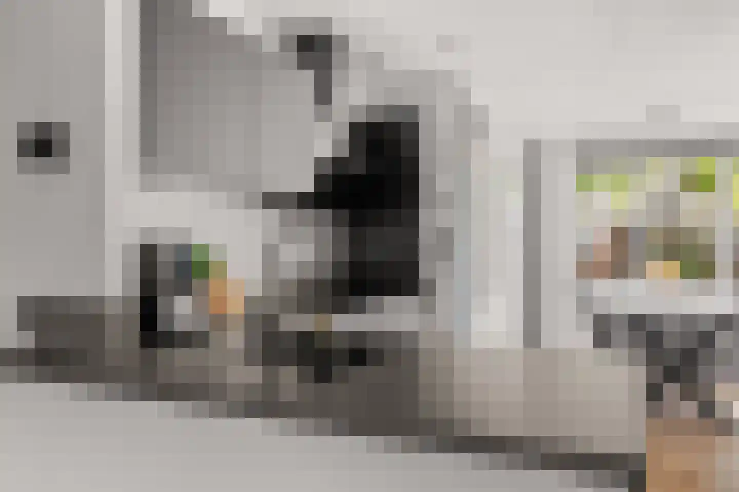 Pijlkruid 9 Amersfoort thumbnail 15
