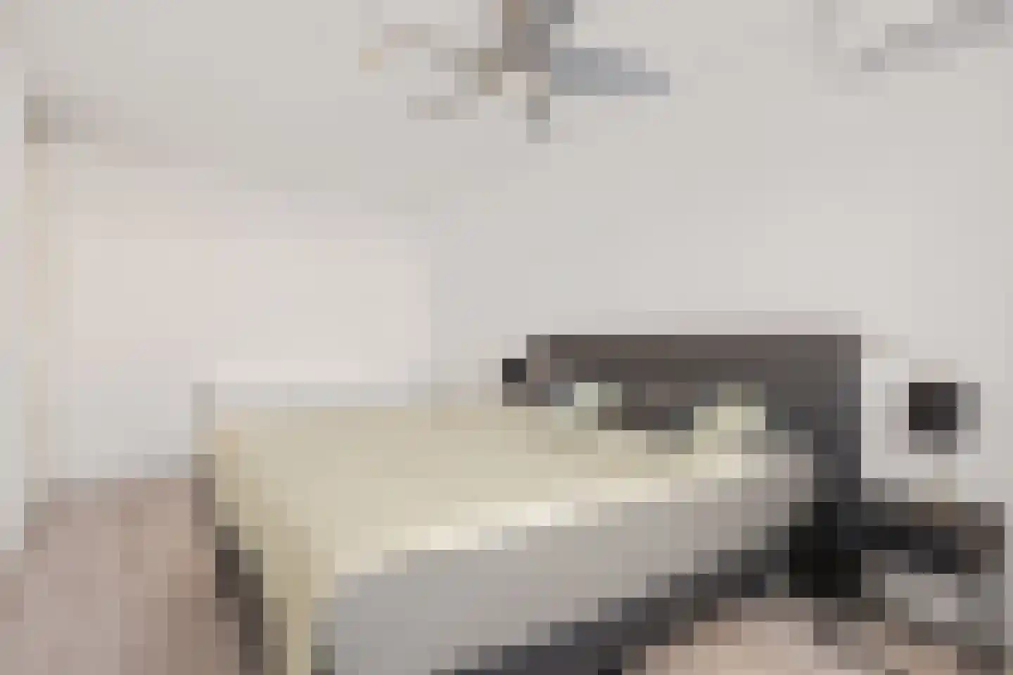 Pijlkruid 9 Amersfoort thumbnail 25