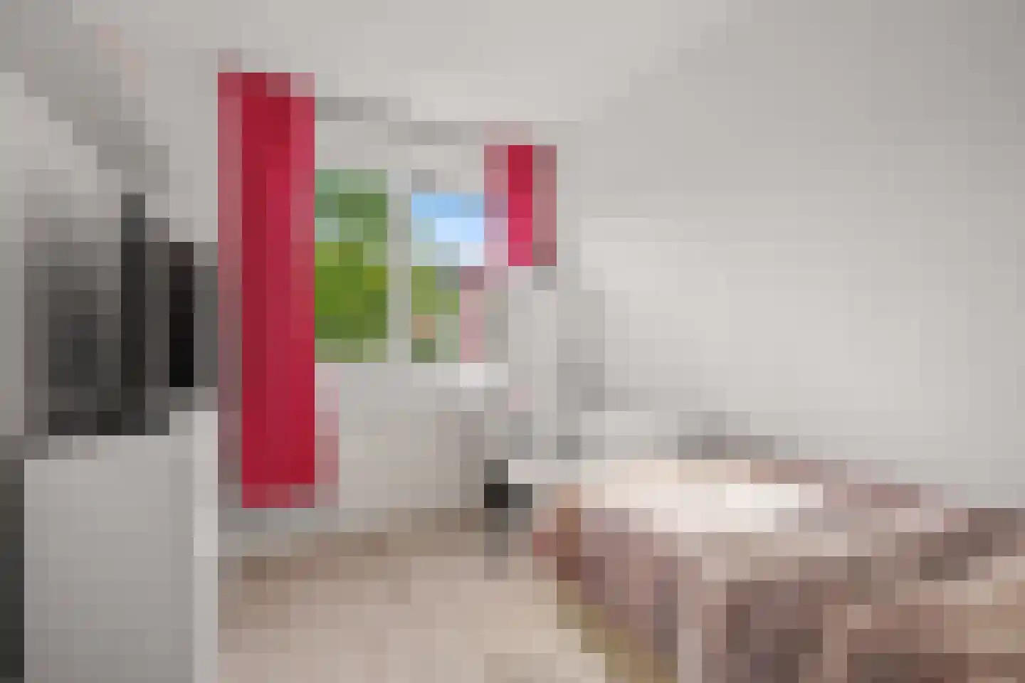 Pijlkruid 9 Amersfoort thumbnail 26