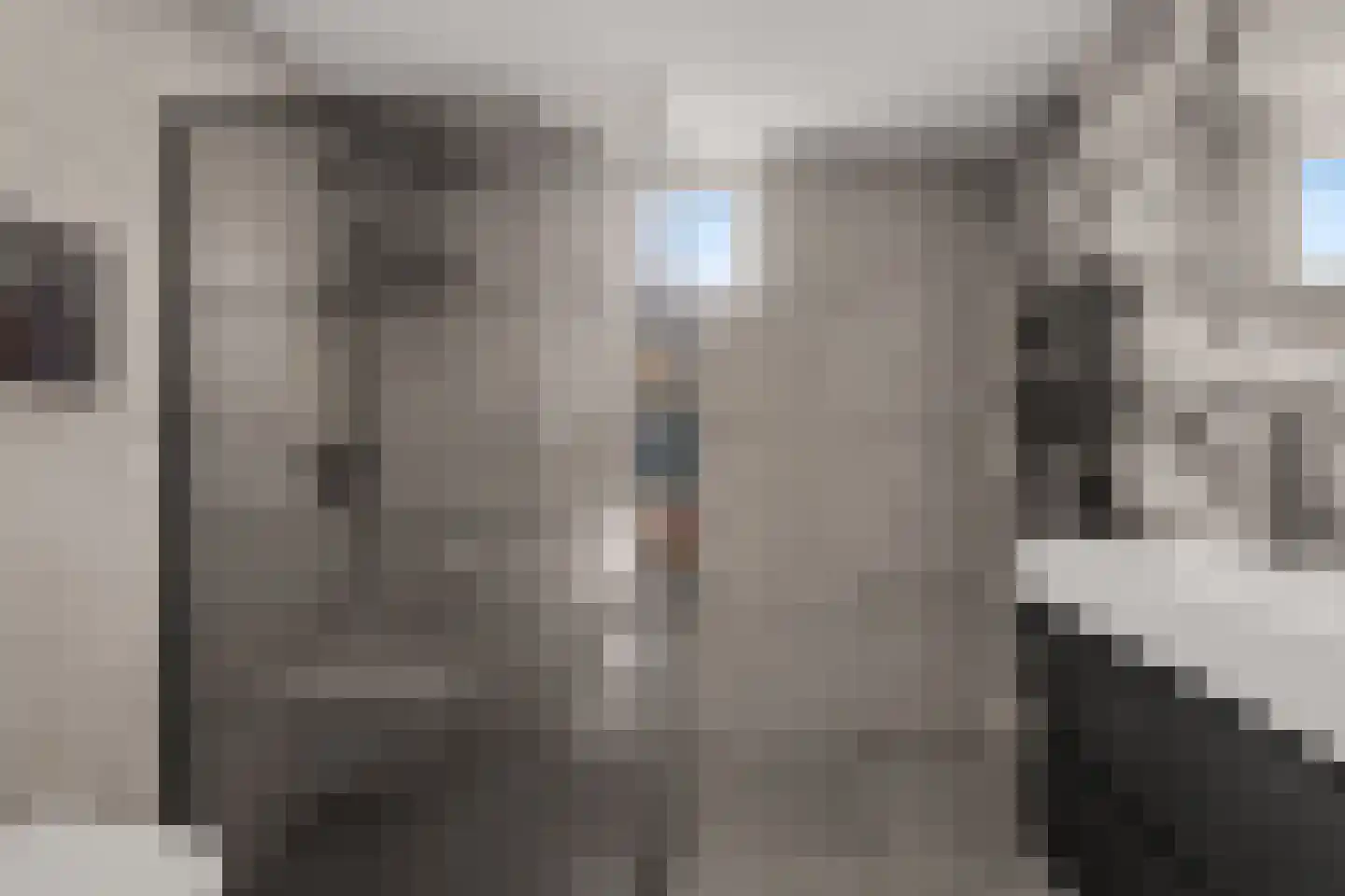 Pijlkruid 9 Amersfoort thumbnail 30
