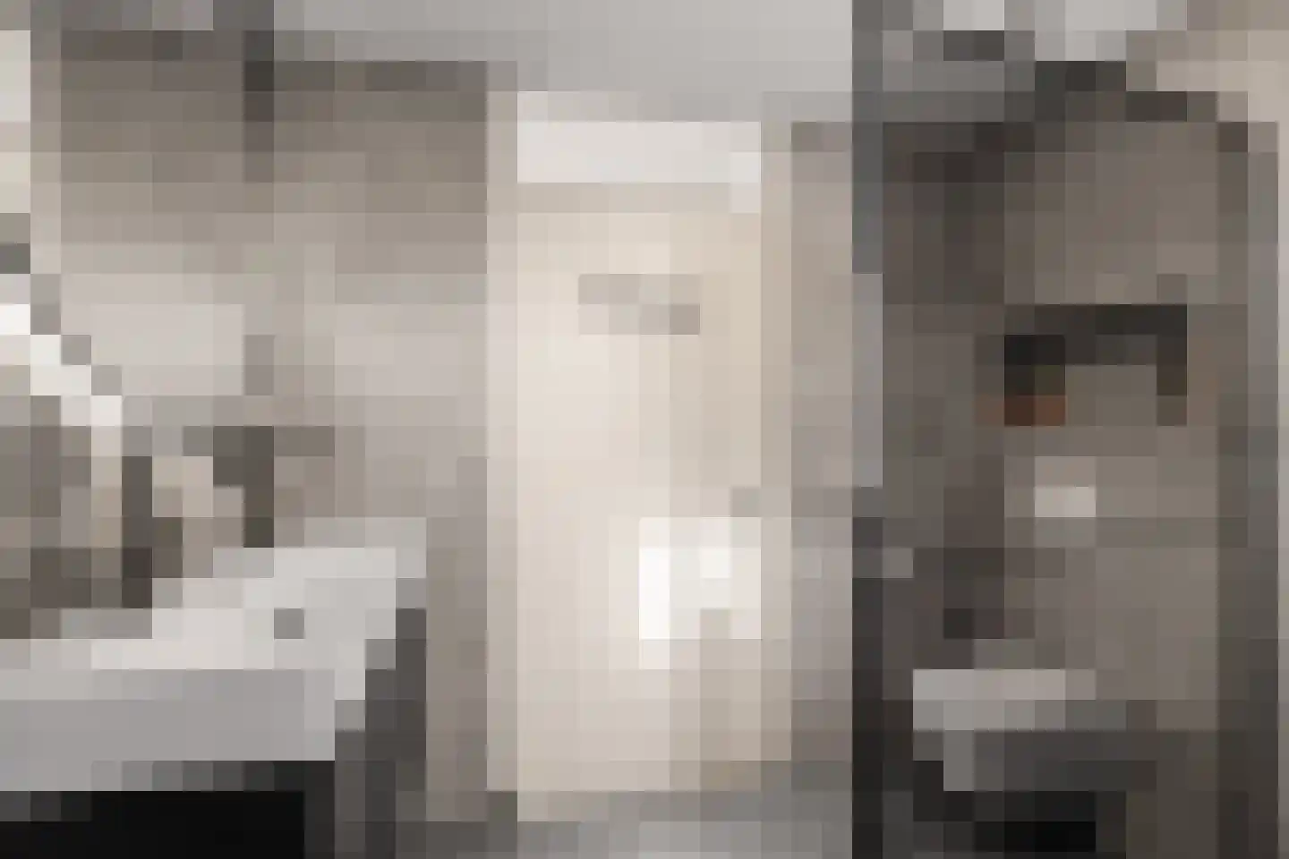 Pijlkruid 9 Amersfoort thumbnail 31