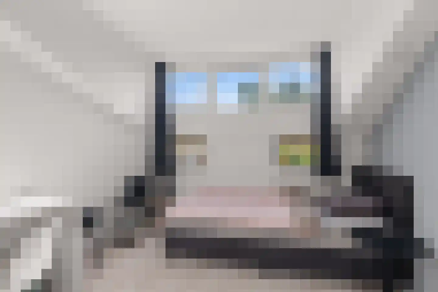 Pijlkruid 9 Amersfoort thumbnail 38