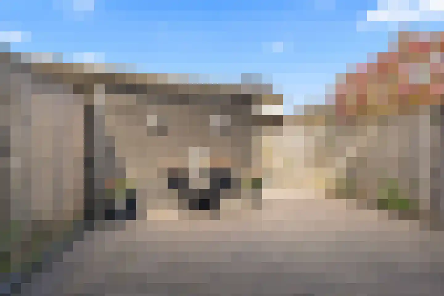 Pijlkruid 9 Amersfoort thumbnail 44