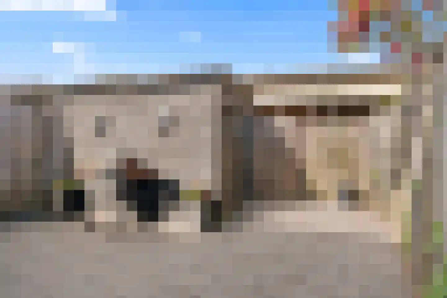 Pijlkruid 9 Amersfoort thumbnail 45