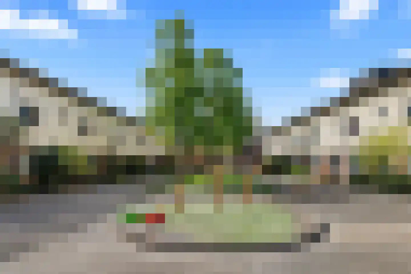Pijlkruid 9 Amersfoort thumbnail 6