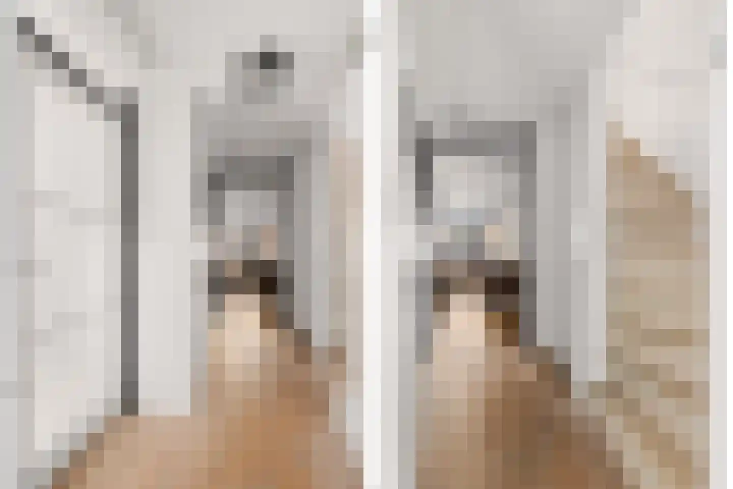 Pijlkruid 9 Amersfoort thumbnail 9