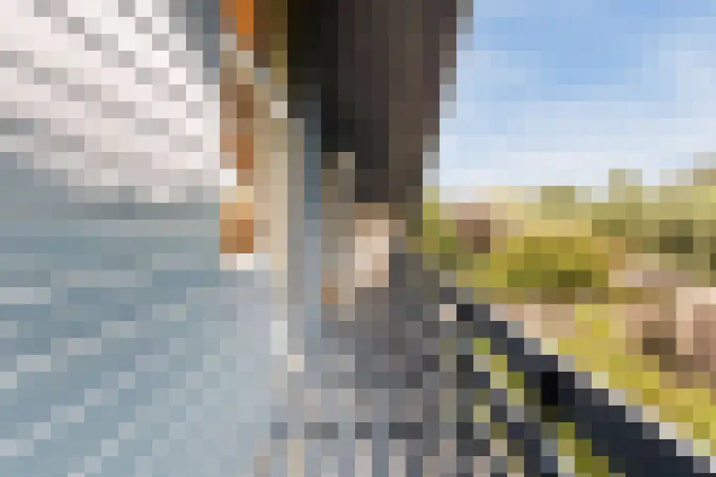 Pijlkruid 9 Culemborg thumbnail 41