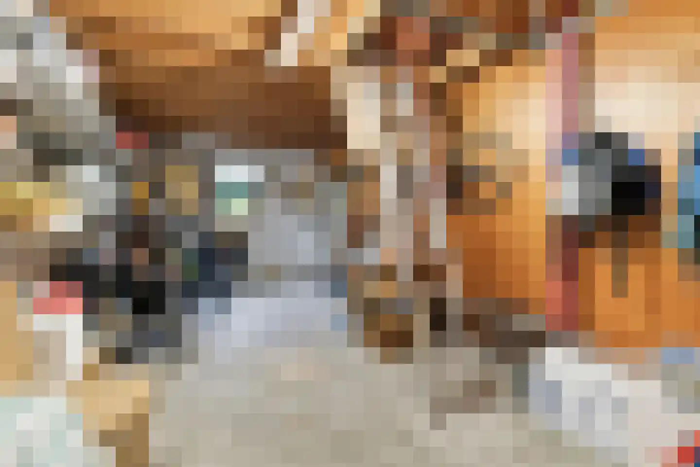 Pijlkruid 9 Culemborg thumbnail 45