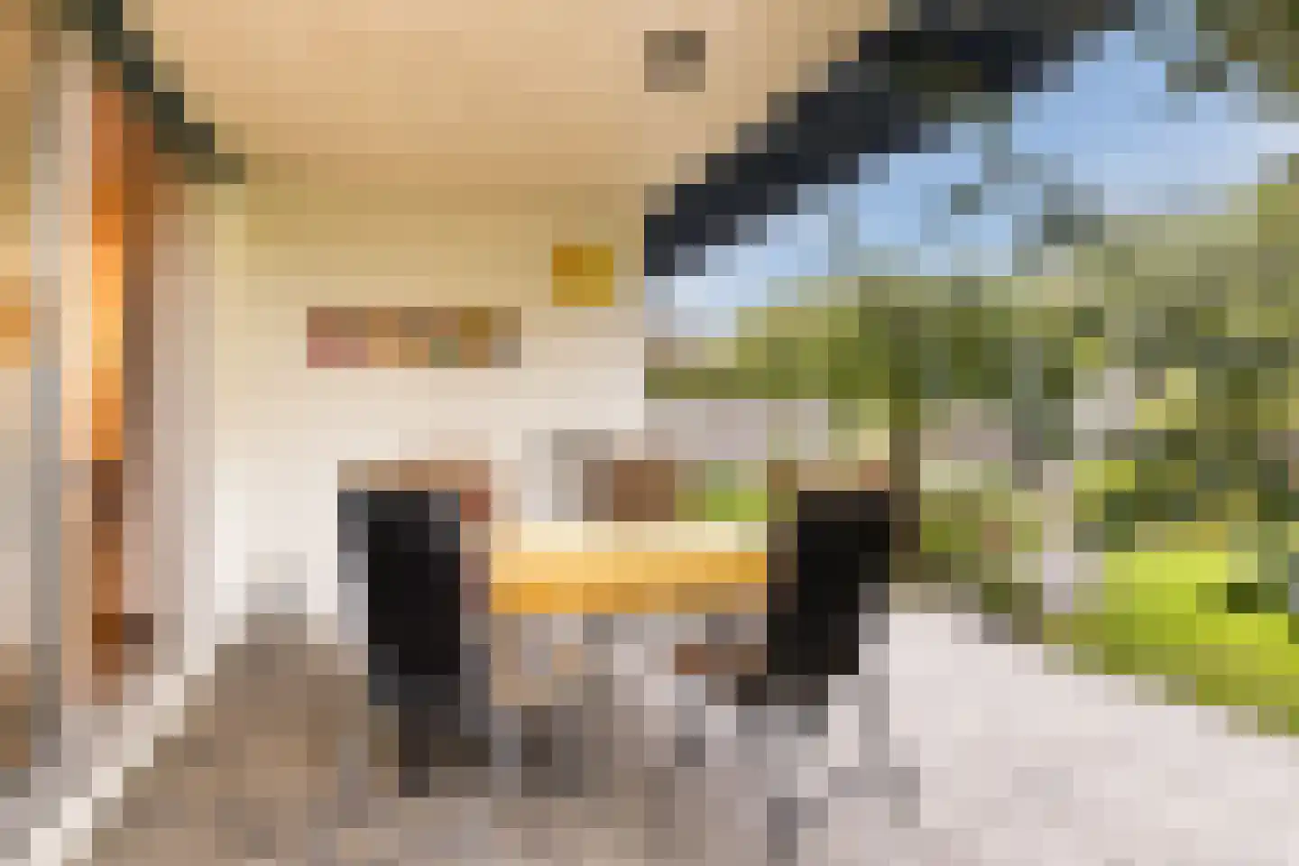 Pijlkruid 9 Culemborg thumbnail 46