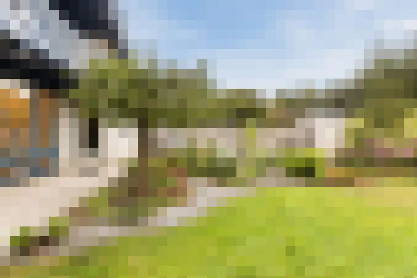 Pijlkruid 9 Culemborg thumbnail 49