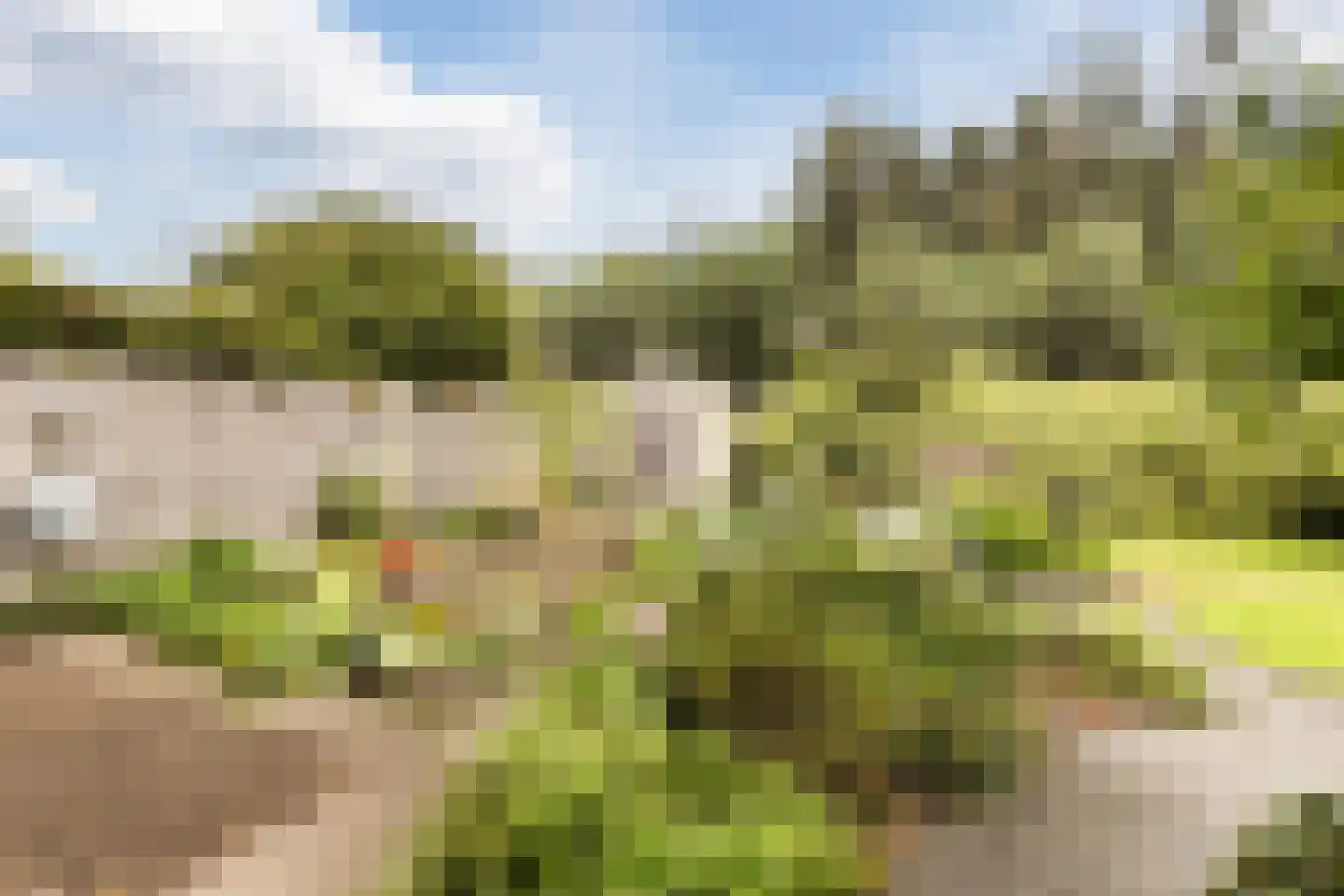 Pijlkruid 9 Culemborg thumbnail 51