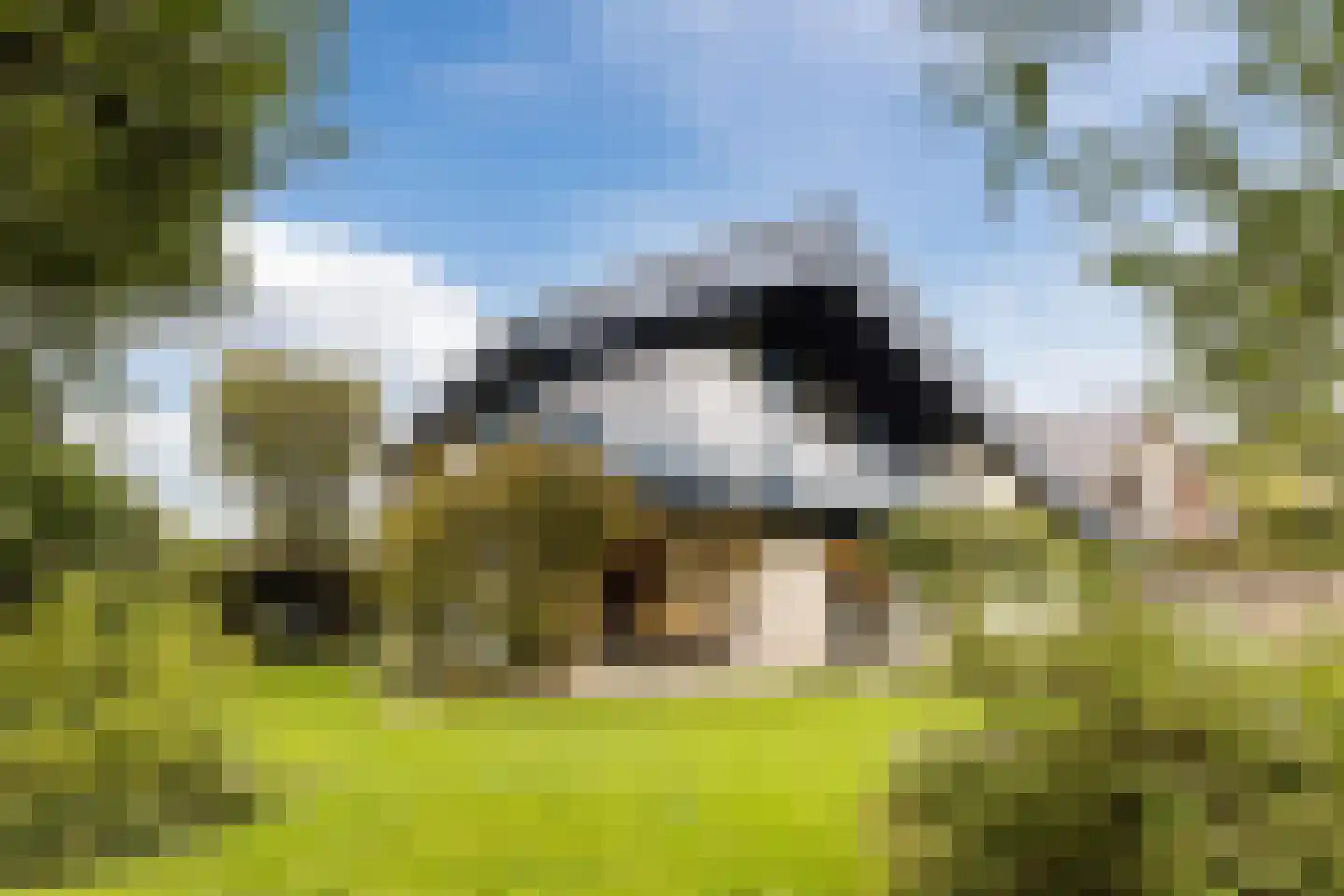Pijlkruid 9 Culemborg thumbnail 52