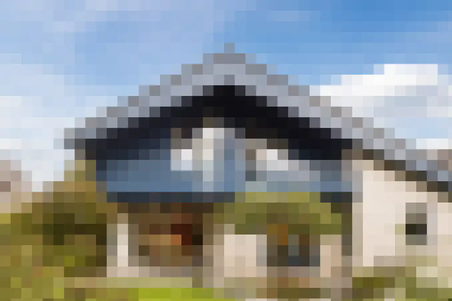 Pijlkruid 9 Culemborg thumbnail 53