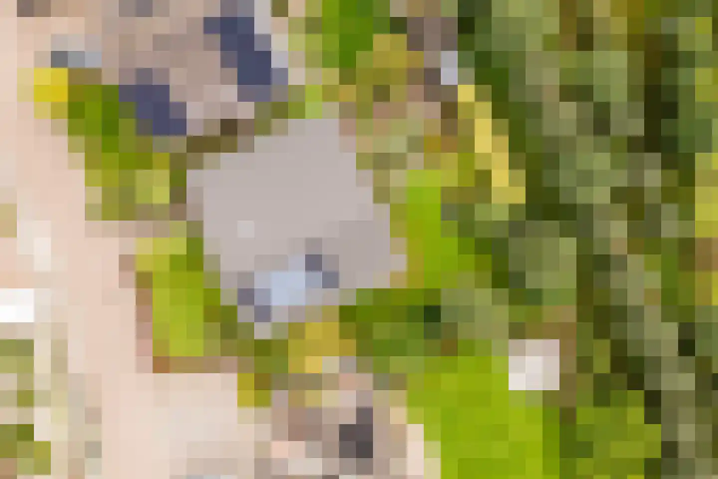 Pijlkruid 9 Culemborg thumbnail 54