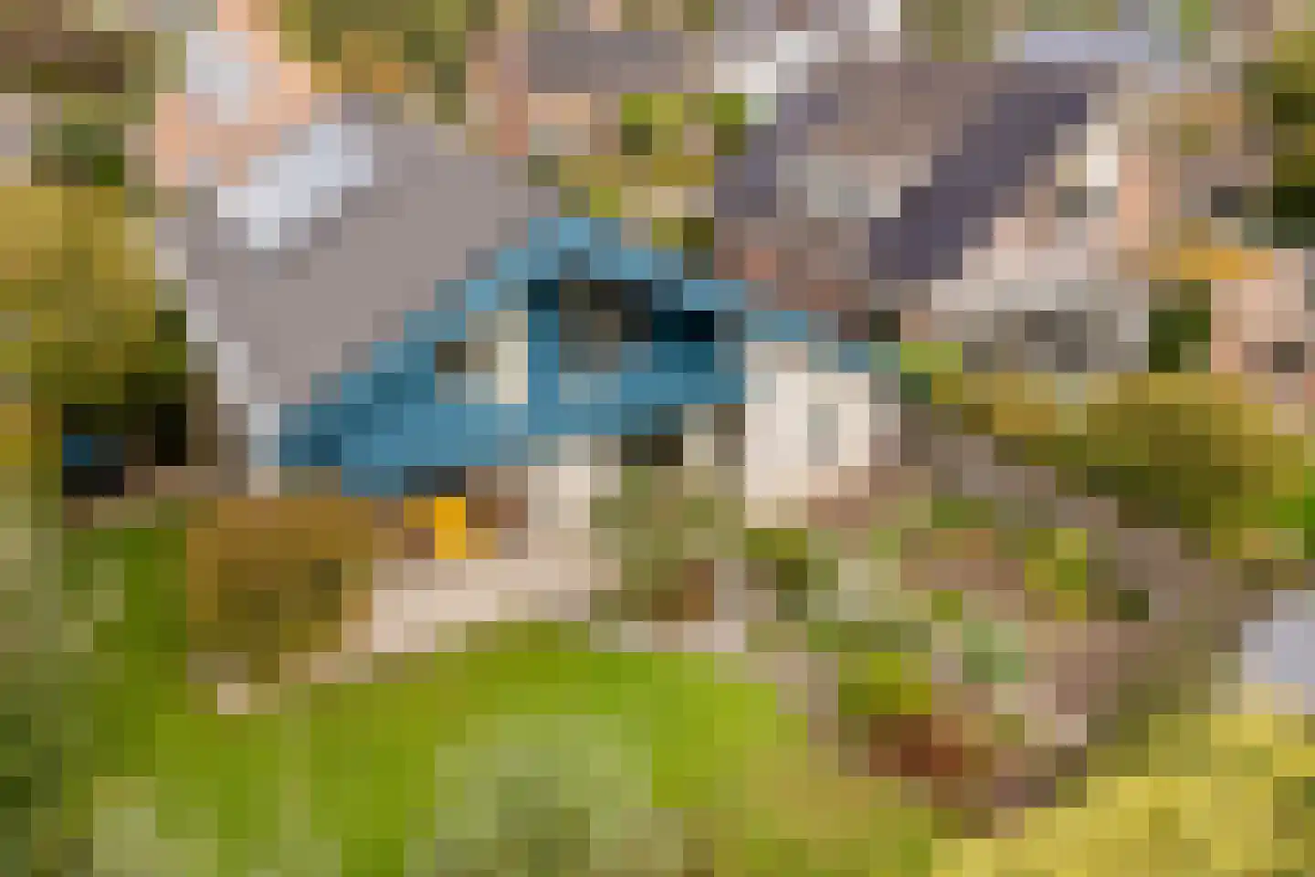 Pijlkruid 9 Culemborg thumbnail 55