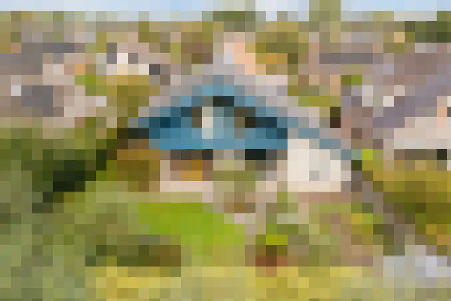 Pijlkruid 9 Culemborg thumbnail 56