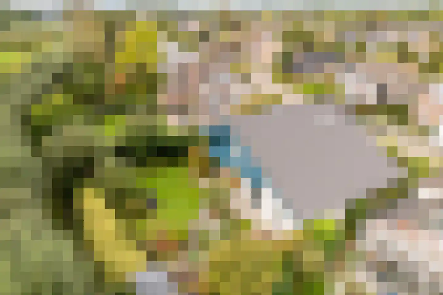 Pijlkruid 9 Culemborg thumbnail 57