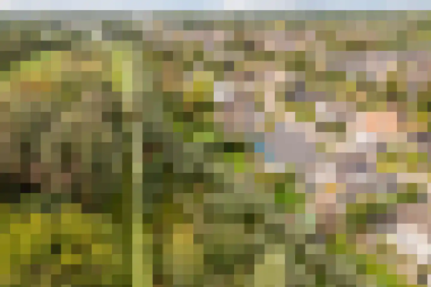Pijlkruid 9 Culemborg thumbnail 58