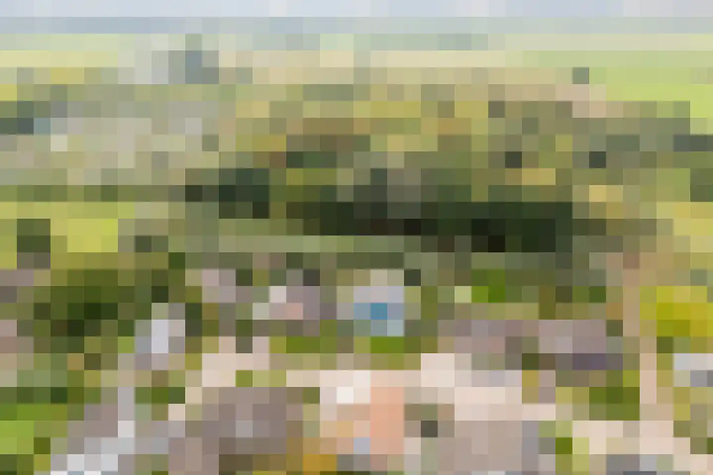 Pijlkruid 9 Culemborg thumbnail 60