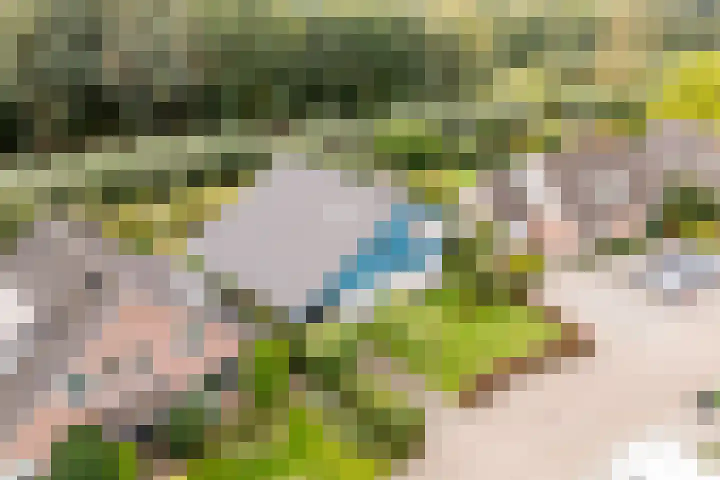Pijlkruid 9 Culemborg thumbnail 61