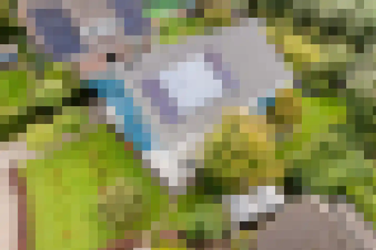 Pijlkruid 9 Culemborg thumbnail 63