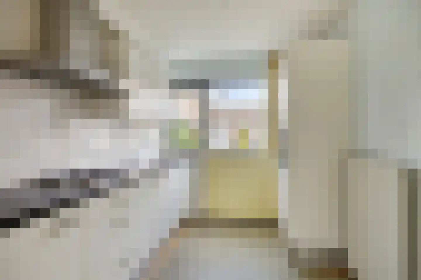 Pijlkruid 9 Nijverdal thumbnail 13