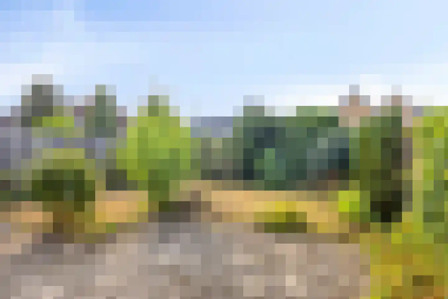 Pijlkruid 9 Nijverdal thumbnail 4