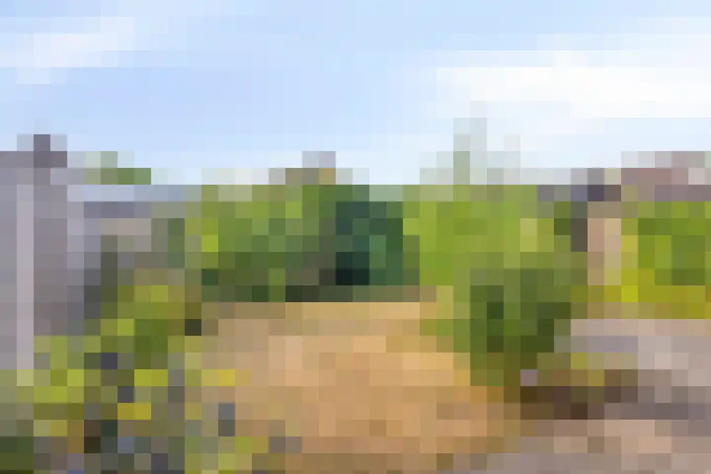 Pijlkruid 9 Nijverdal thumbnail 5