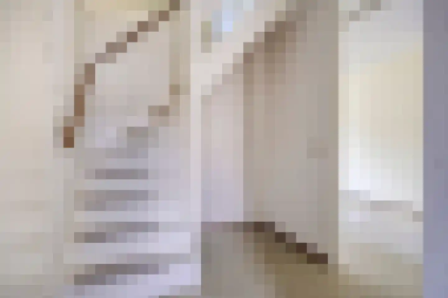 Pijlkruid 9 Nijverdal thumbnail 6