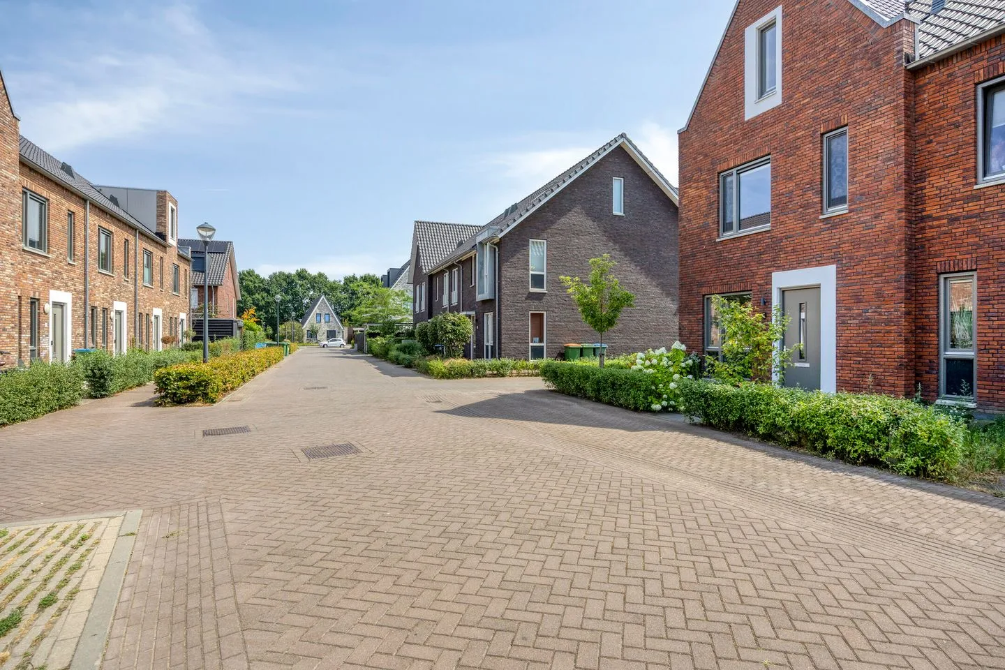 Pijlkruid 9 Teteringen thumbnail 51