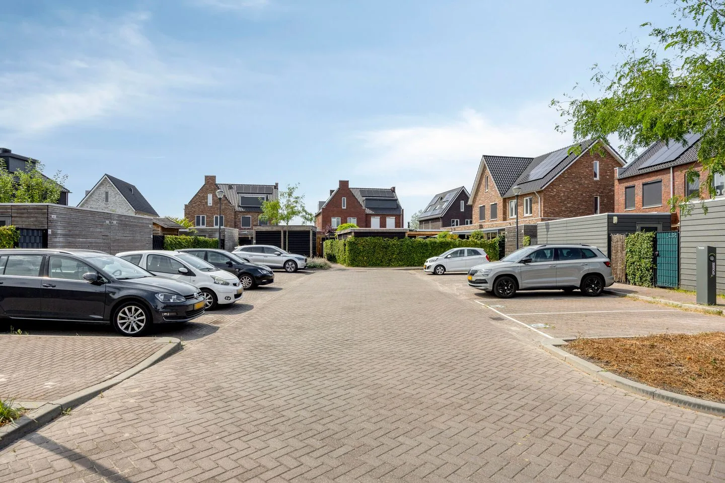 Pijlkruid 9 Teteringen thumbnail 52