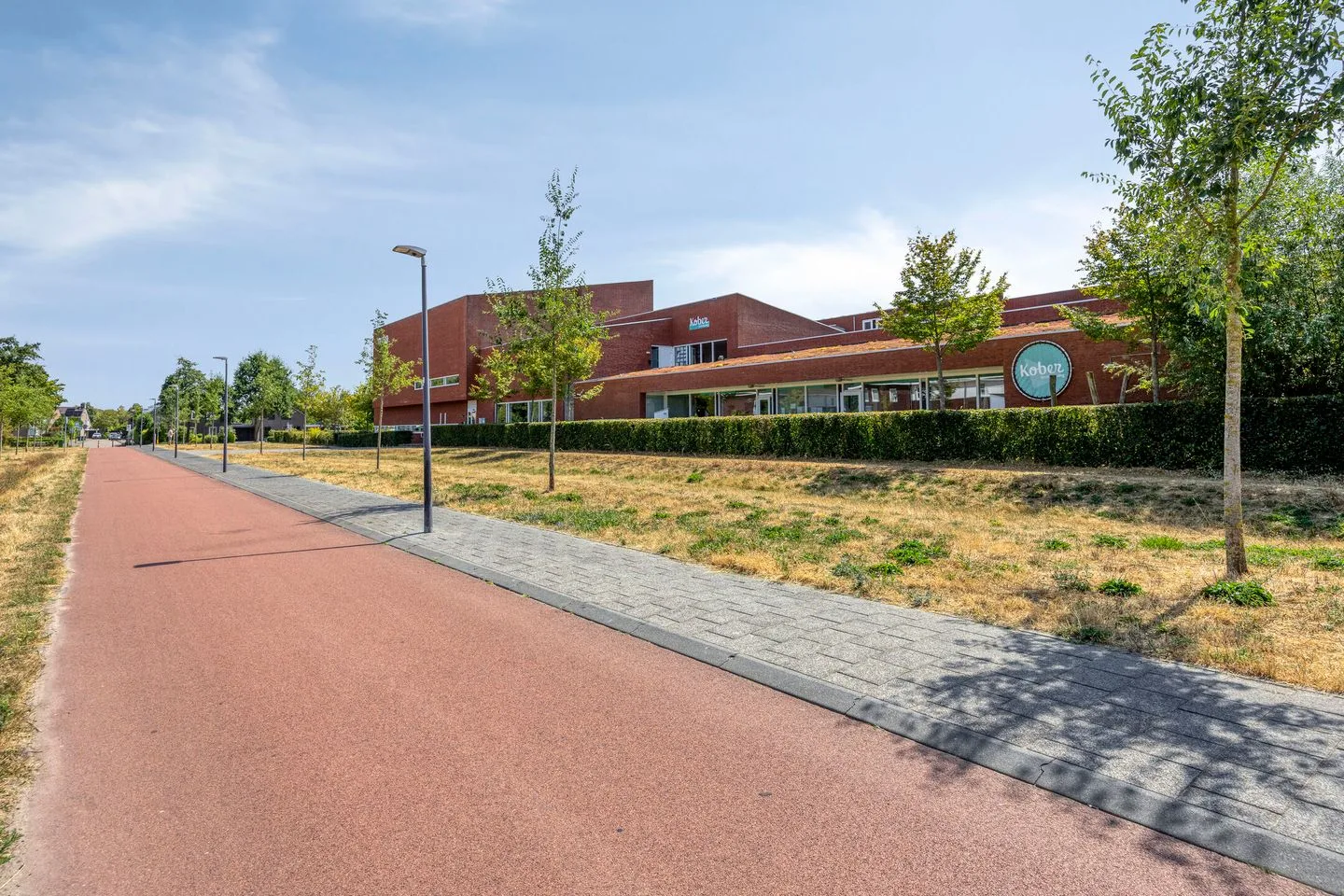 Pijlkruid 9 Teteringen thumbnail 54