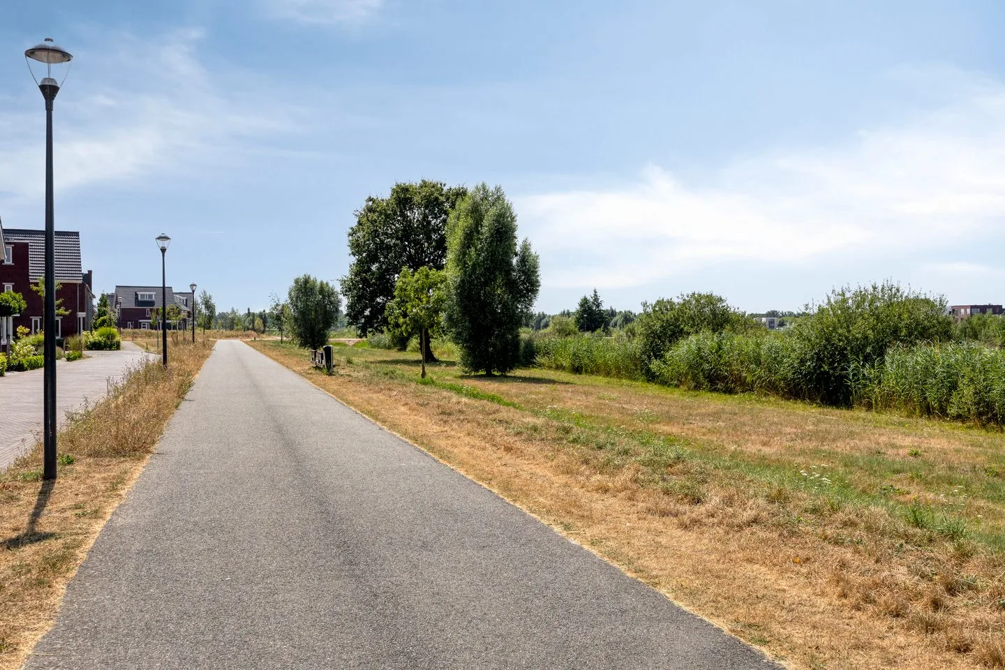 Pijlkruid 9 Teteringen thumbnail 55