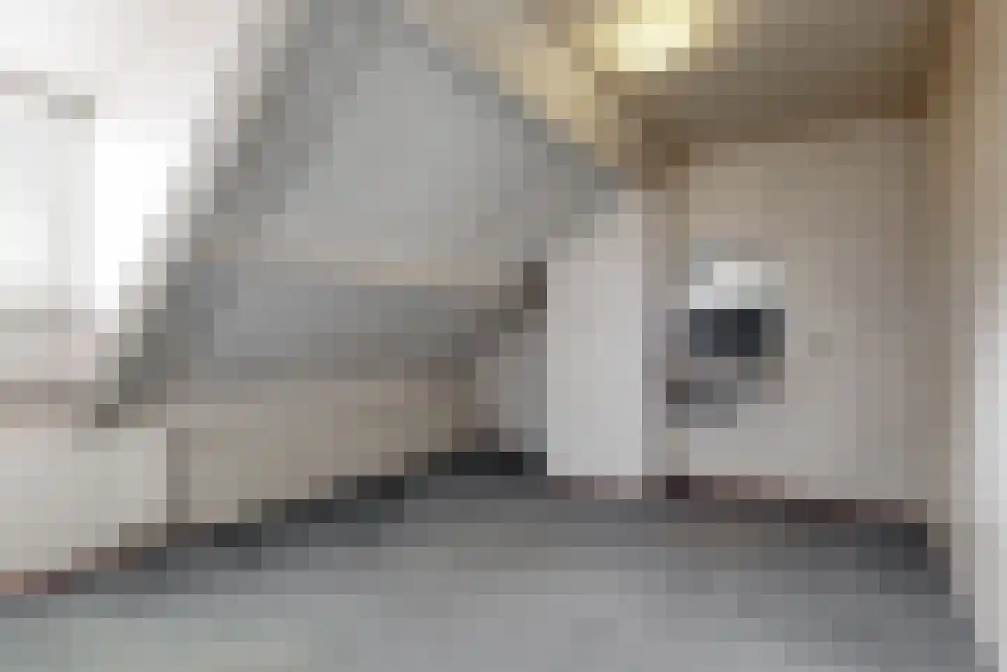 Pijlkruidkreek 10 Leiderdorp thumbnail 21