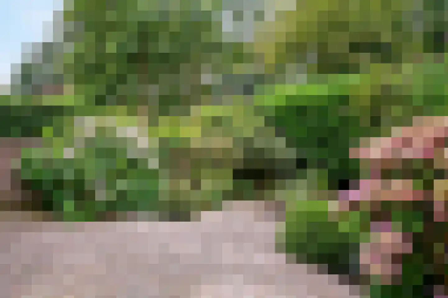 Pijlkruidkreek 10 Leiderdorp thumbnail 26