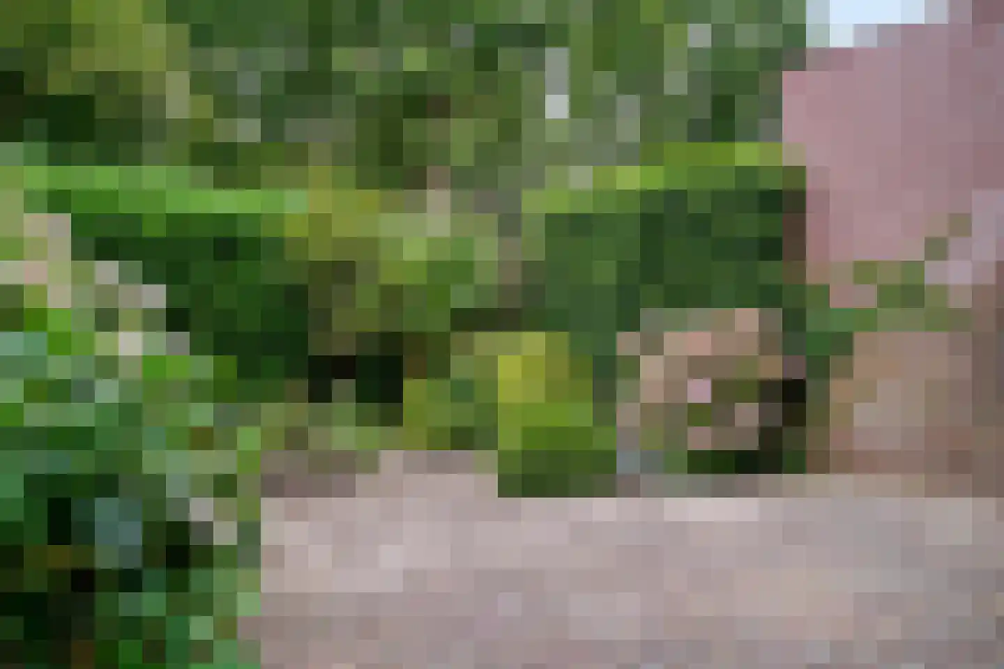 Pijlkruidkreek 10 Leiderdorp thumbnail 27