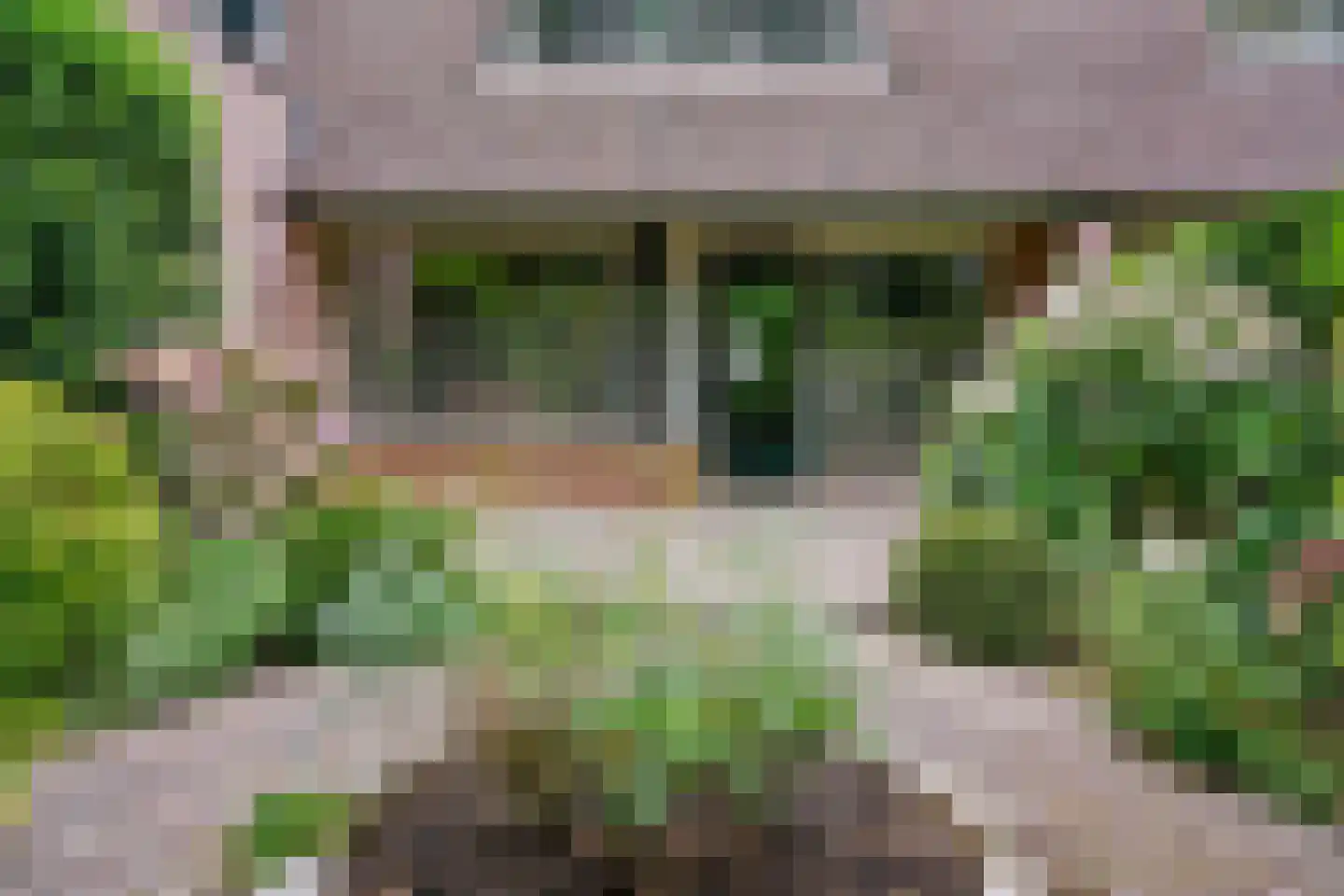 Pijlkruidkreek 10 Leiderdorp thumbnail 28