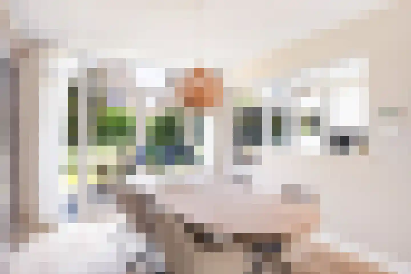 Pijlkruidlaan 10 Reeuwijk thumbnail 10
