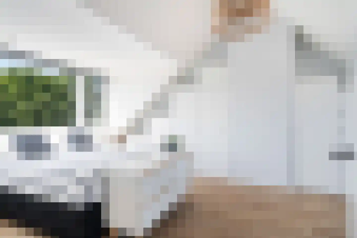 Pijlkruidlaan 10 Reeuwijk thumbnail 21