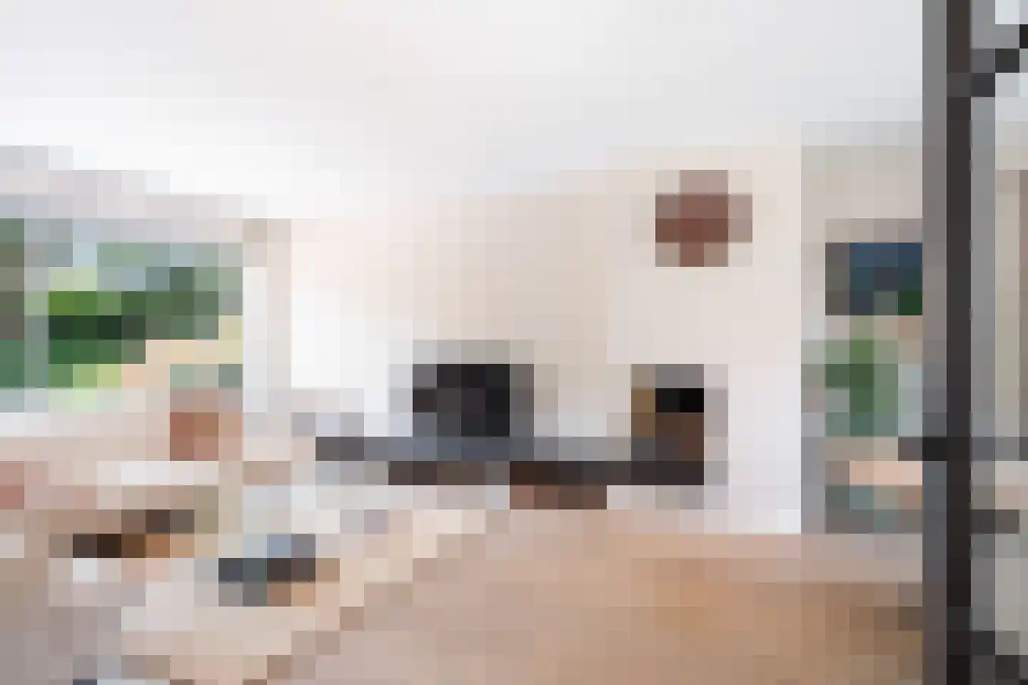 Pijlkruidlaan 10 Reeuwijk thumbnail 6