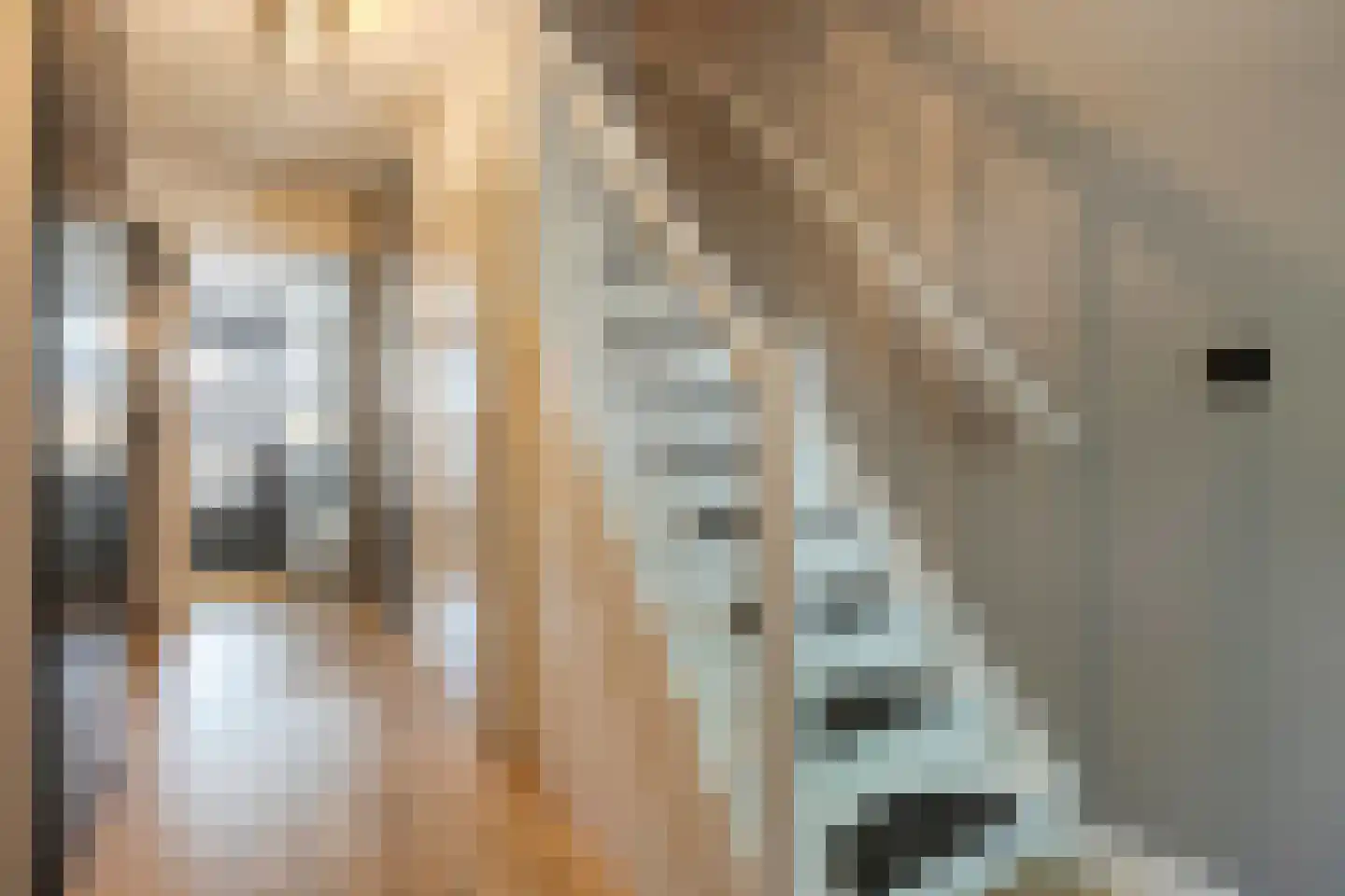 Pijlkruidlaan 46 Enschede thumbnail 10